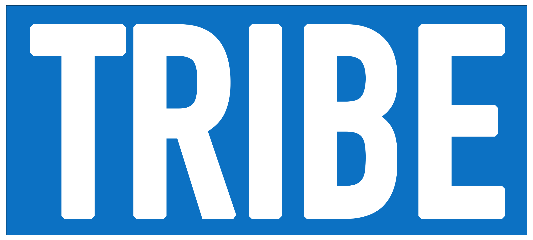 TRIBE ISRAEL